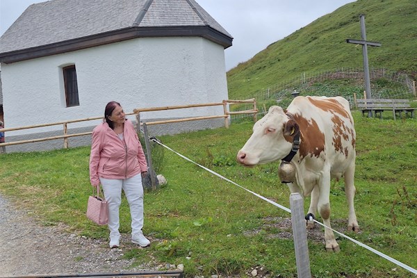 Newsbild