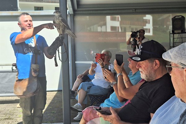 Newsbild