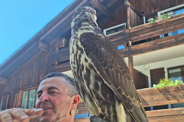 Newsbild