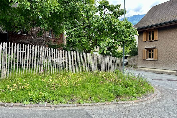 Newsbild