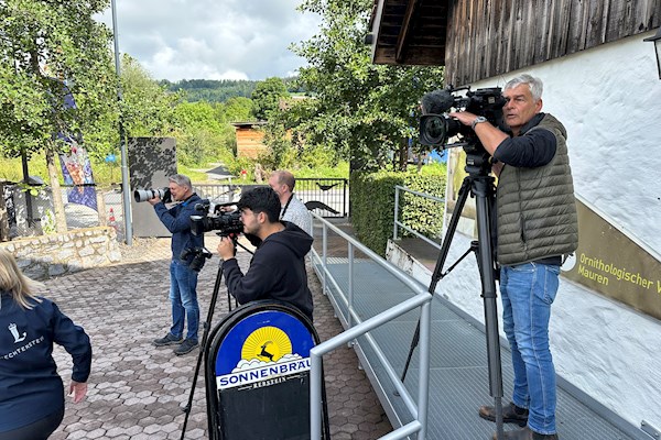Newsbild
