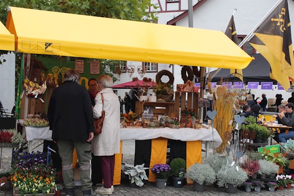 Newsbild