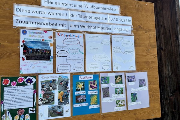 Newsbild
