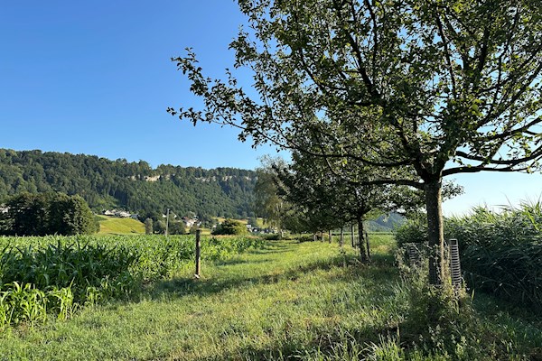 Newsbild