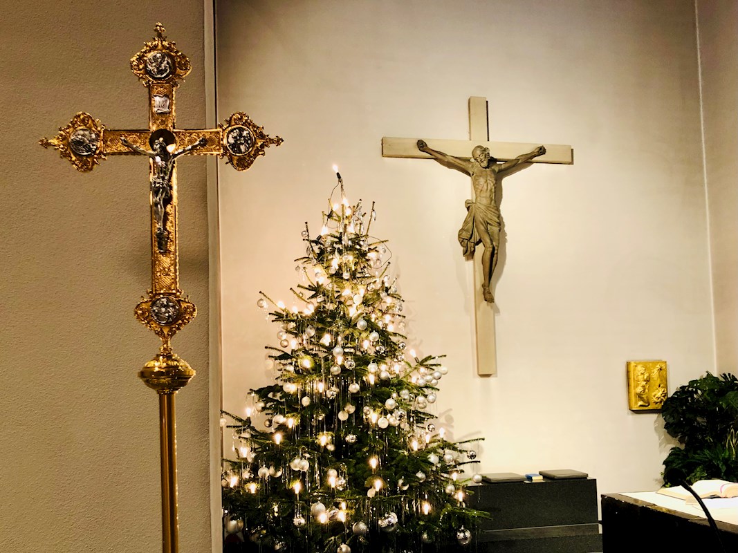 Galeriebild 3