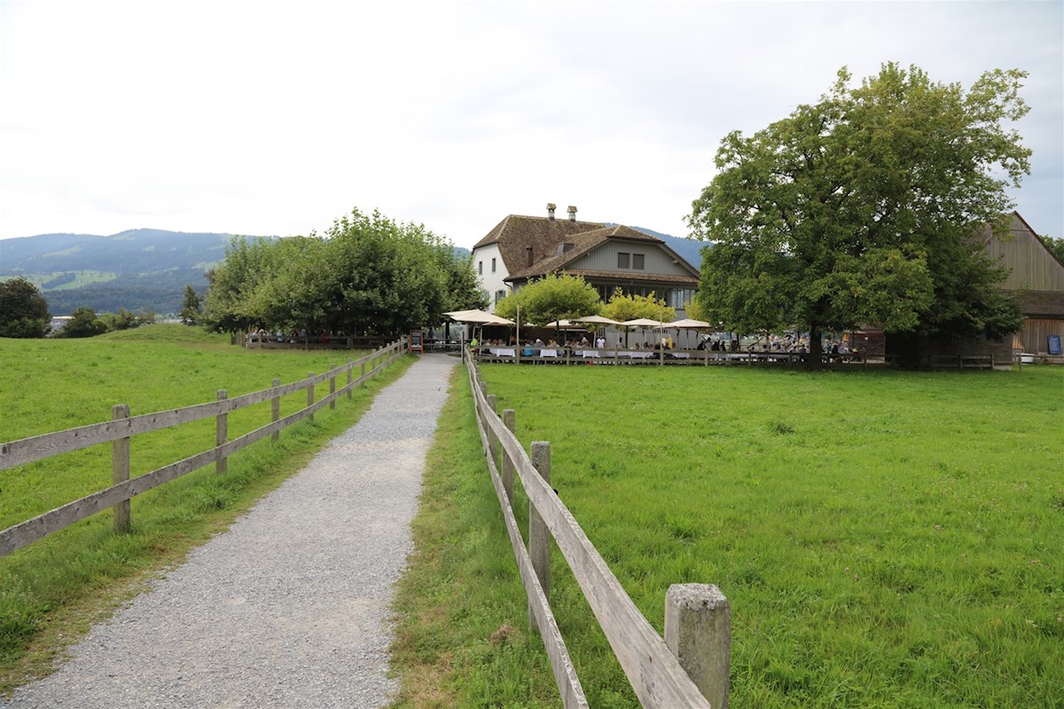 Galeriebild 32