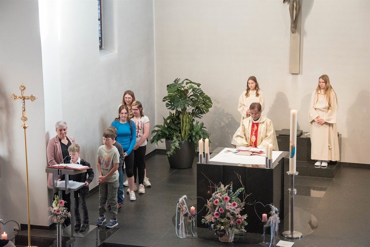 Galeriebild 7