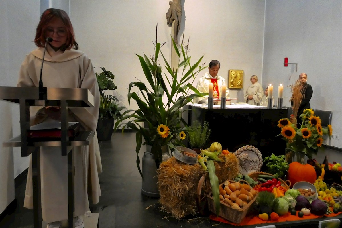 Galeriebild 2