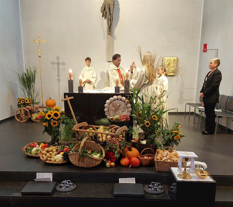 Galeriebild 2