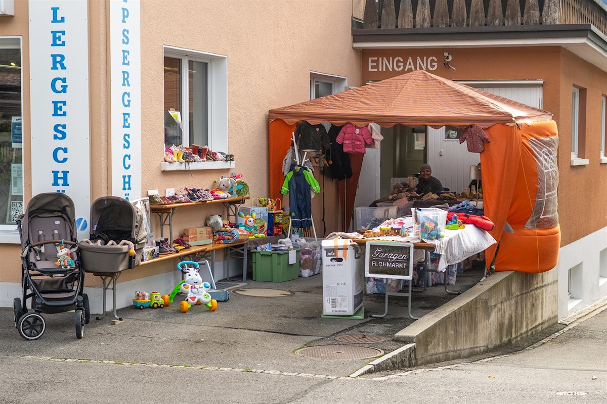 Galeriebild 5