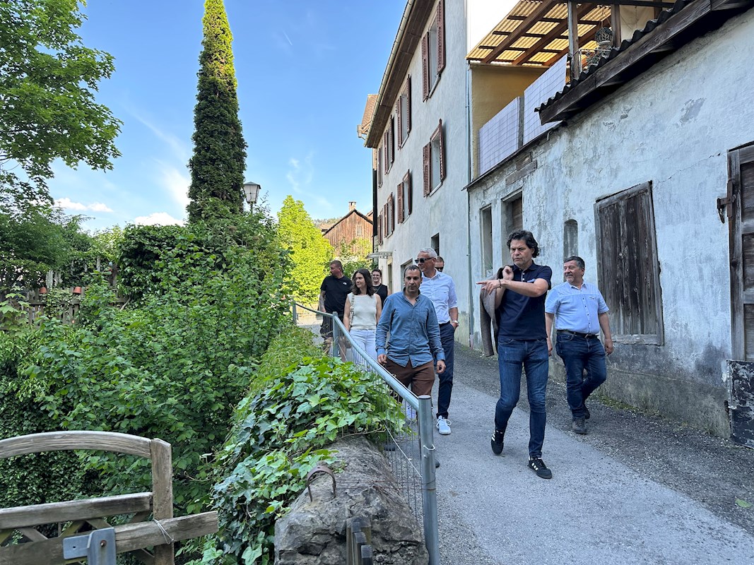 Galeriebild 17
