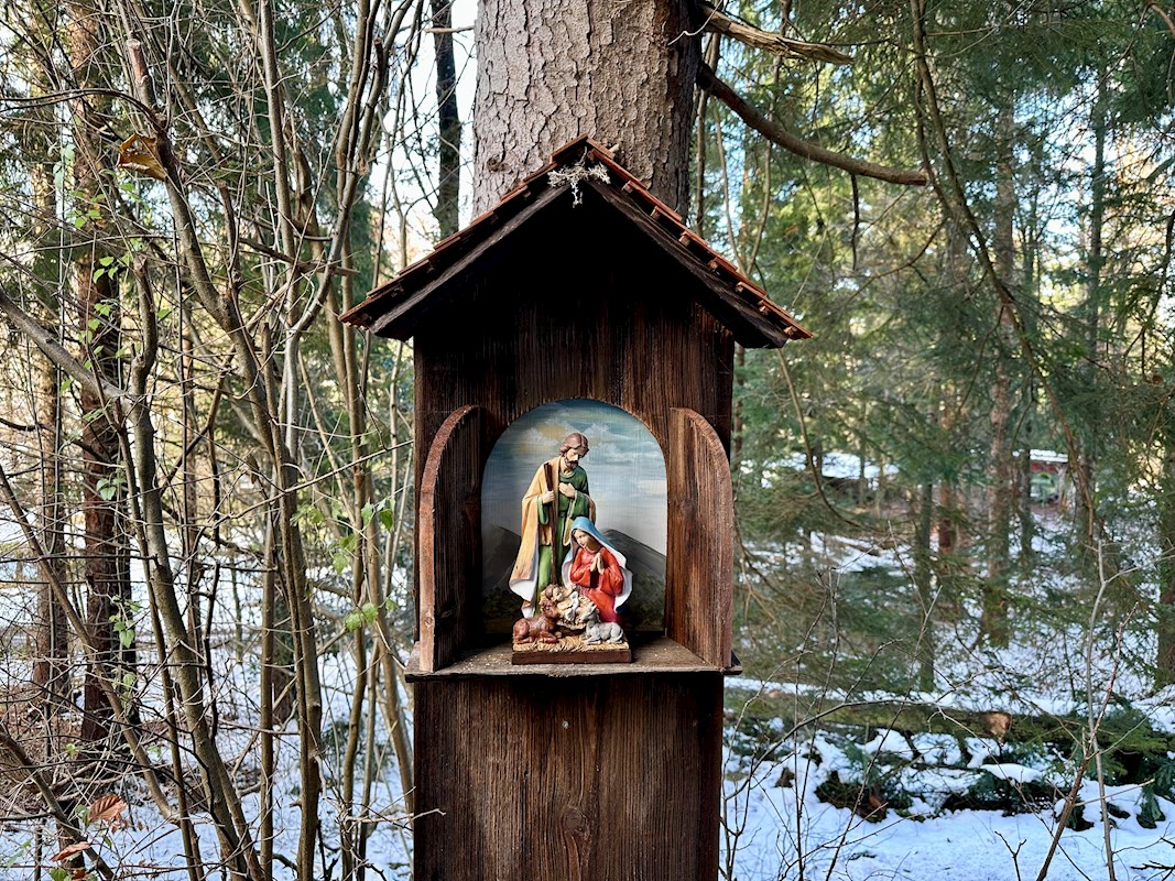 Galeriebild 4