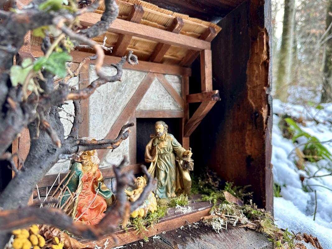Galeriebild 8