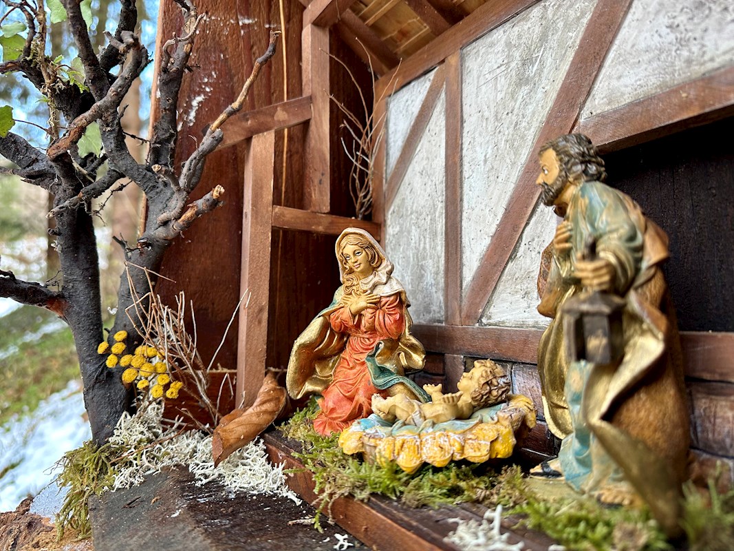 Galeriebild 9