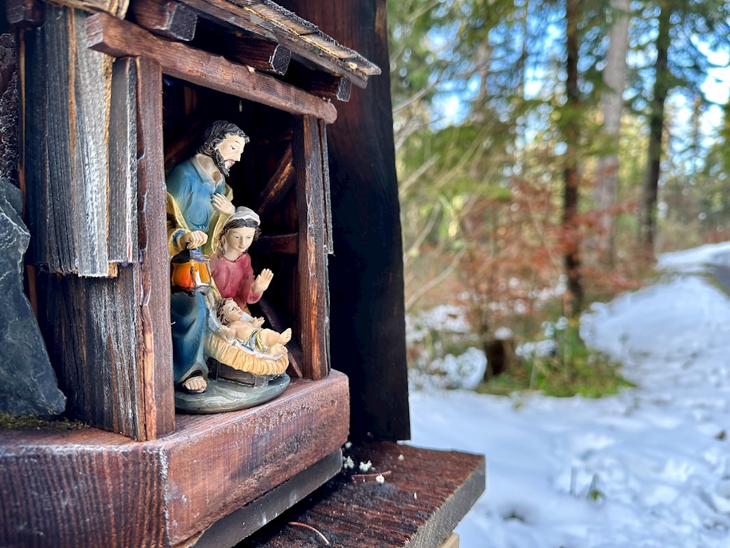 Galeriebild 10