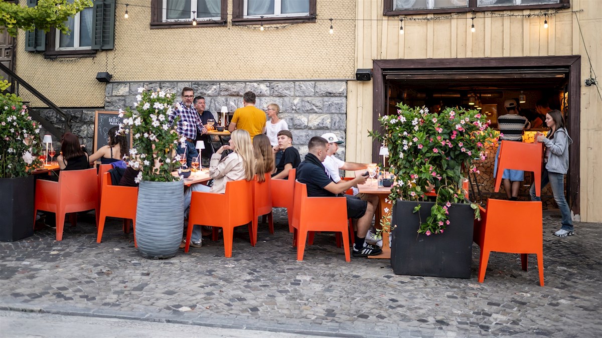 Galeriebild 16
