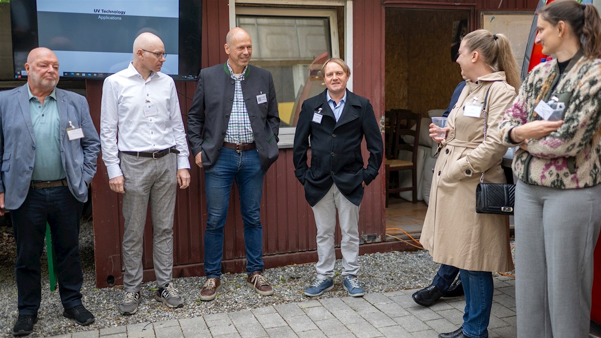 Galeriebild 8