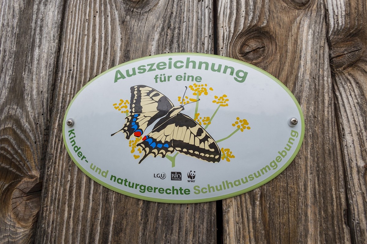 Galeriebild 2