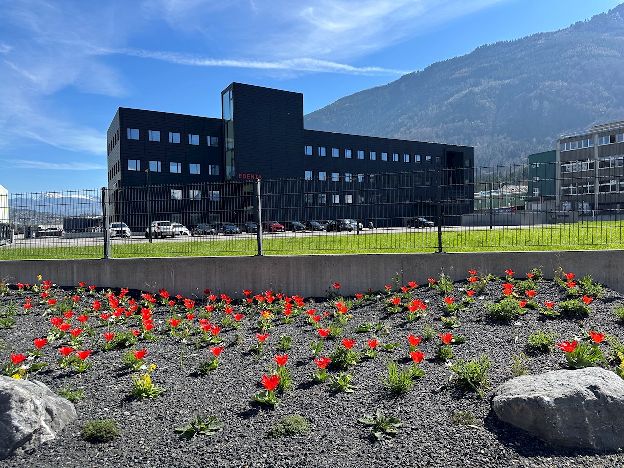 Blumenrabatte-Ecke-Industriestrasse-Gewerbeweg-Edenta-AG.jpeg