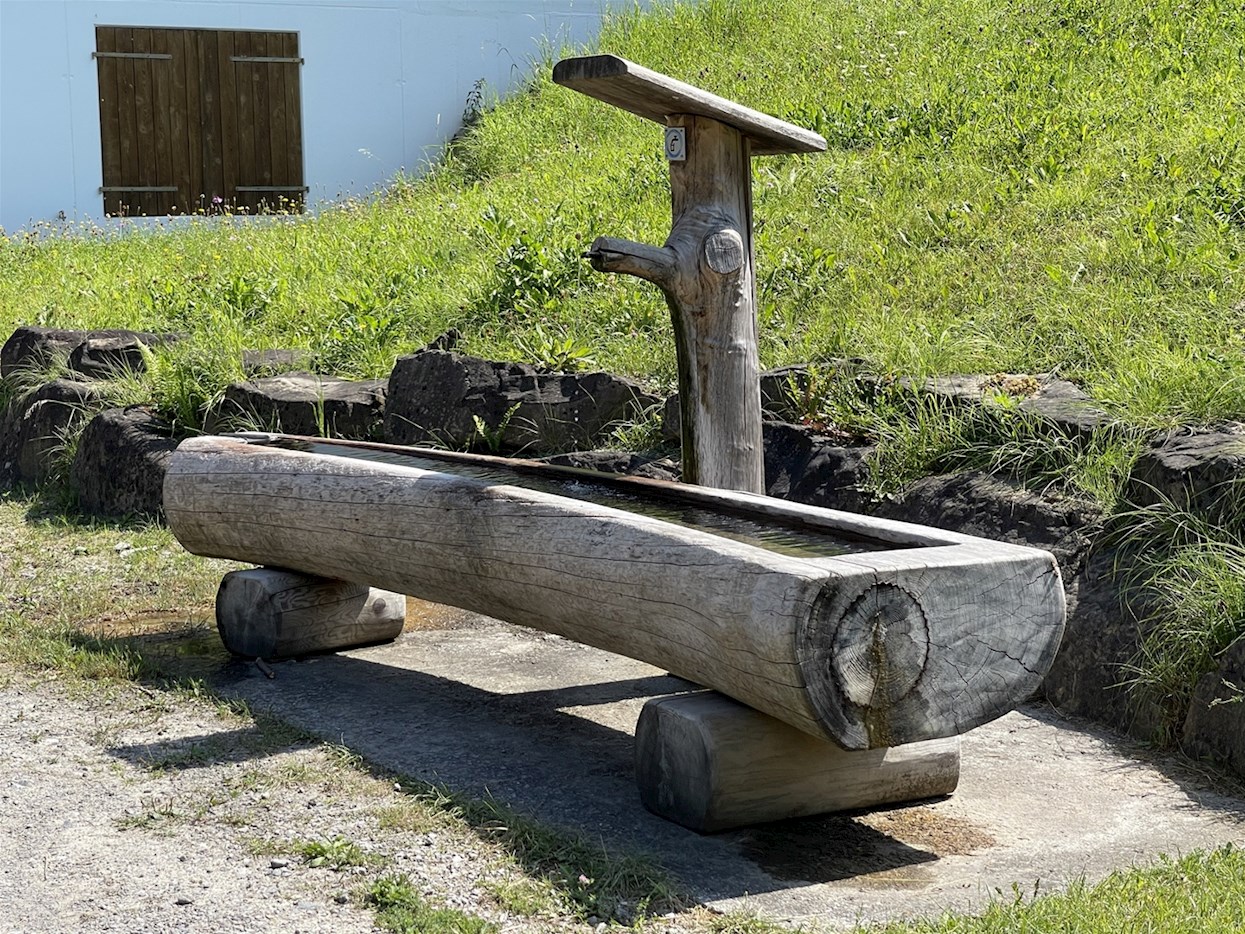 Brunnen-Arthur-Frick.jpg