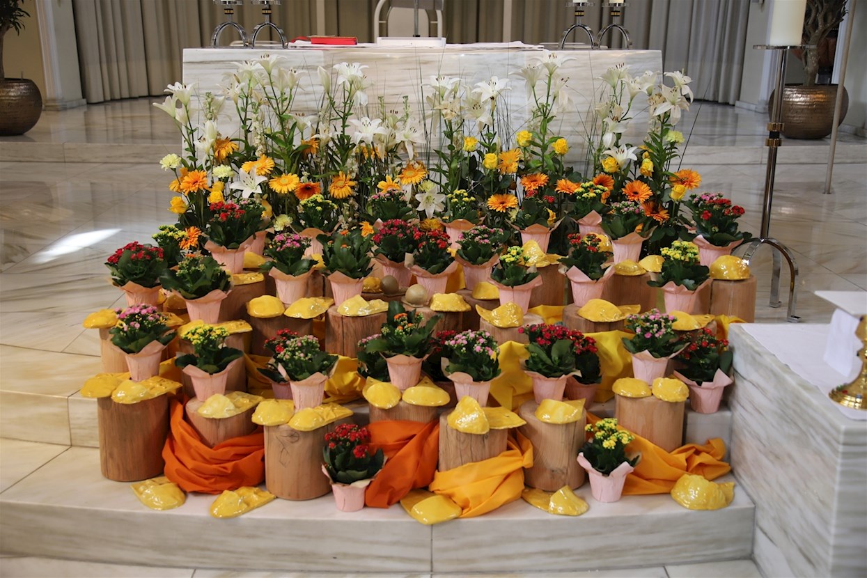 Bild zu Veranstaltung