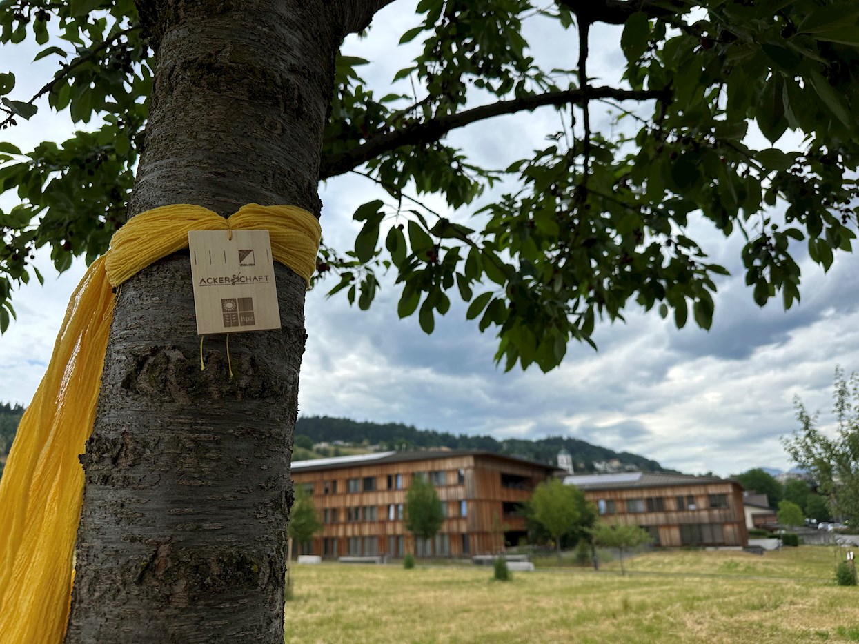 IMG-7153.jpeg