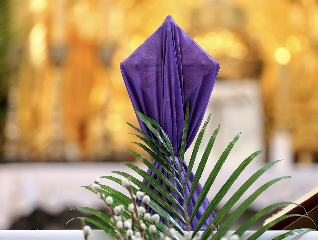 Bild zu Veranstaltung