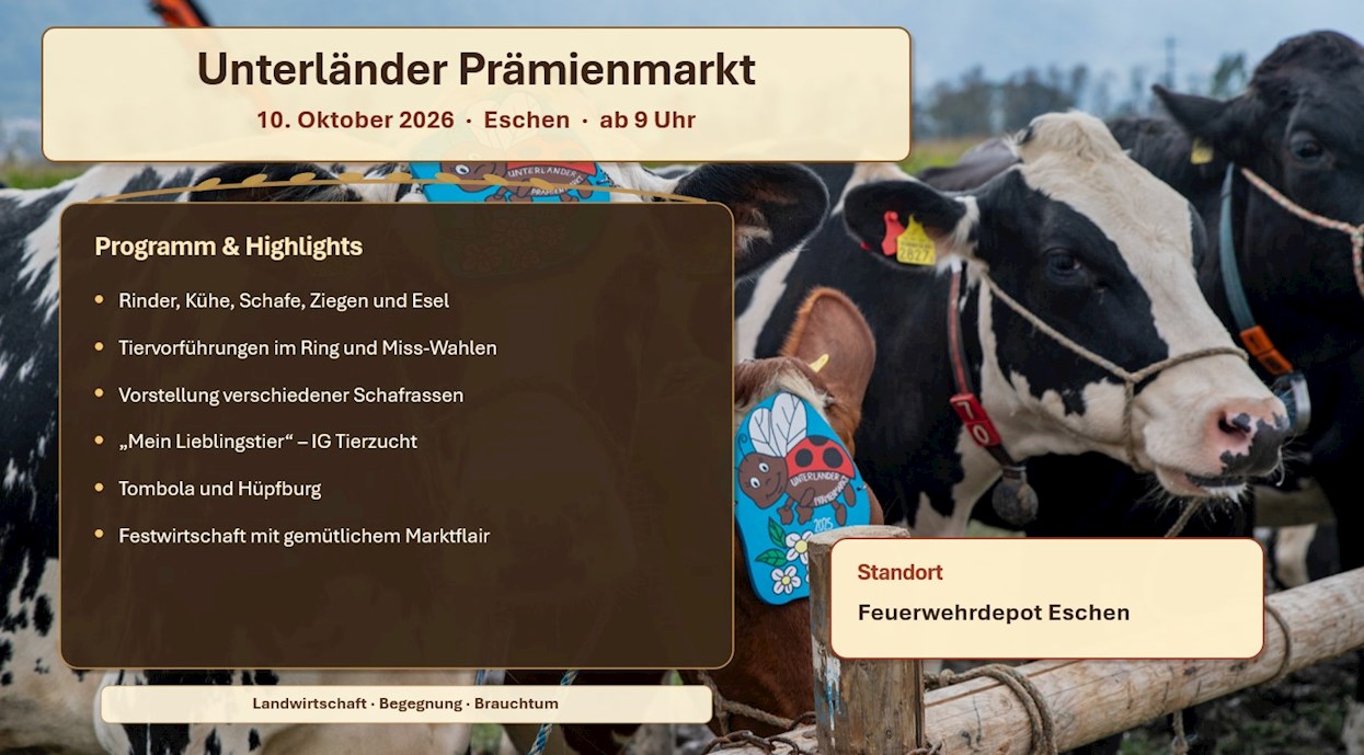 Bild zu Veranstaltung