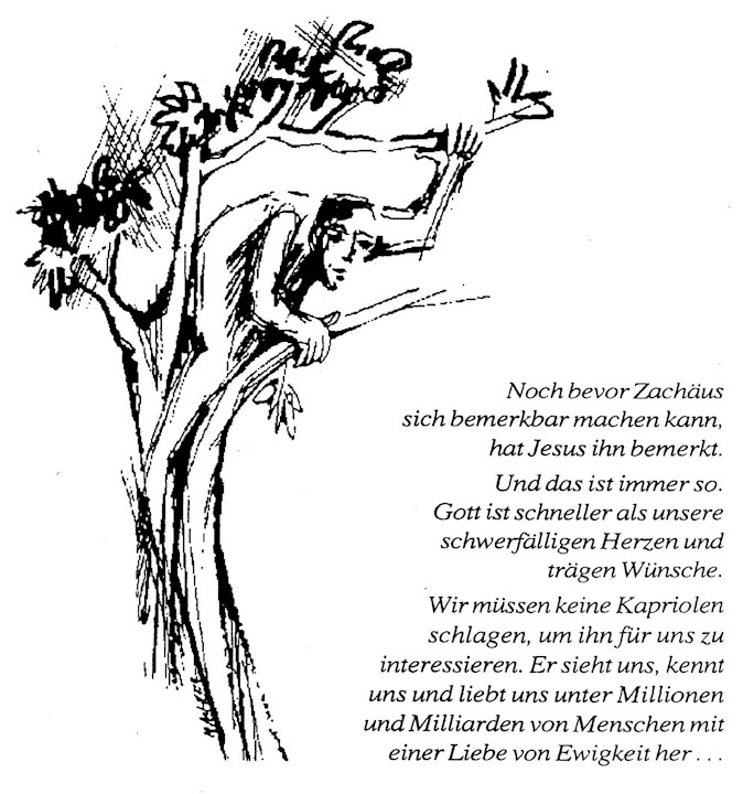 Bild zum Text
