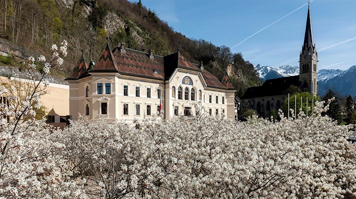 Hinter blühenden Sträuchern sieht man einen Teil des Regierungsgebäudes und der Kirche.