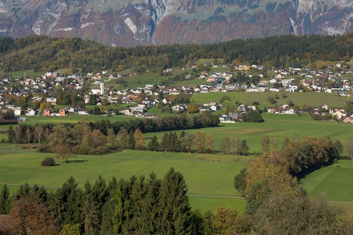 Blick über das Riet mit Windschutzstreifen auf Mauren am Hang des Eschner Berges.