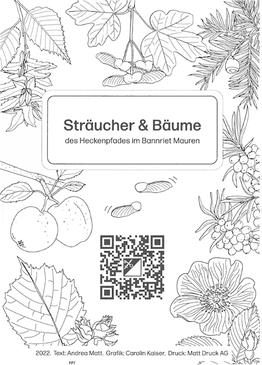 Straeucher-Baeume.png