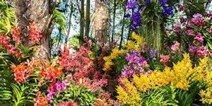 Garten.jpg