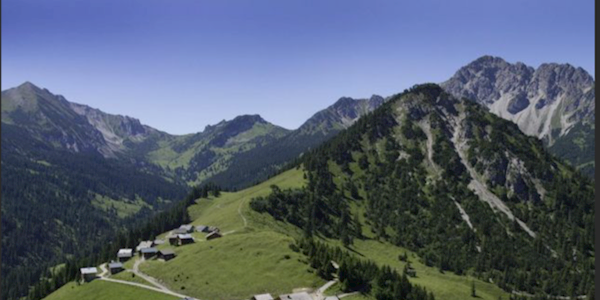 2025-06-05-14-41-37-alpe-gamp-offen-Suchen-Bilder-und-6-weitere-Seiten-Profil-1-Microsoft-Edg.png