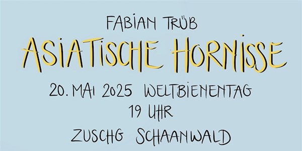 Asiatische-Hornisse-Postkarte.jpg