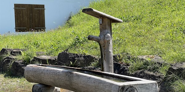 Brunnen-Arthur-Frick.jpg