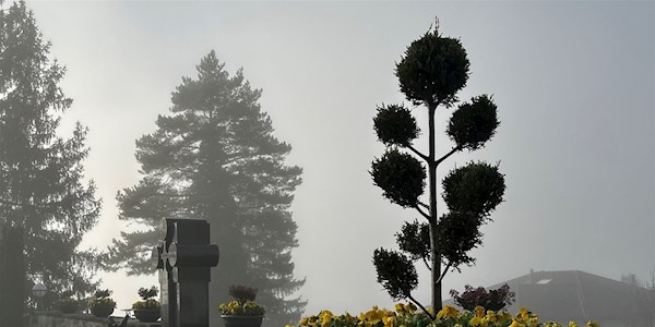 Friedhof-im-Nebel.jpg