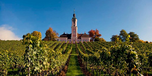 Pfarreiwallfahrt-Basilika-Birnau-2026.jpg