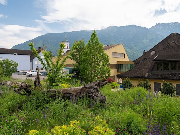 230520-Garagendach-Gemeindehaus-01-GeorgJa-ger.jpg
