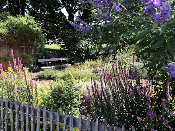 Kraeutergarten-Sommer-2023-1.jpeg