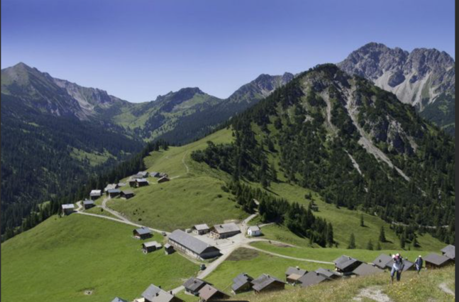 2025-06-05-14-41-37-alpe-gamp-offen-Suchen-Bilder-und-6-weitere-Seiten-Profil-1-Microsoft-Edg.png