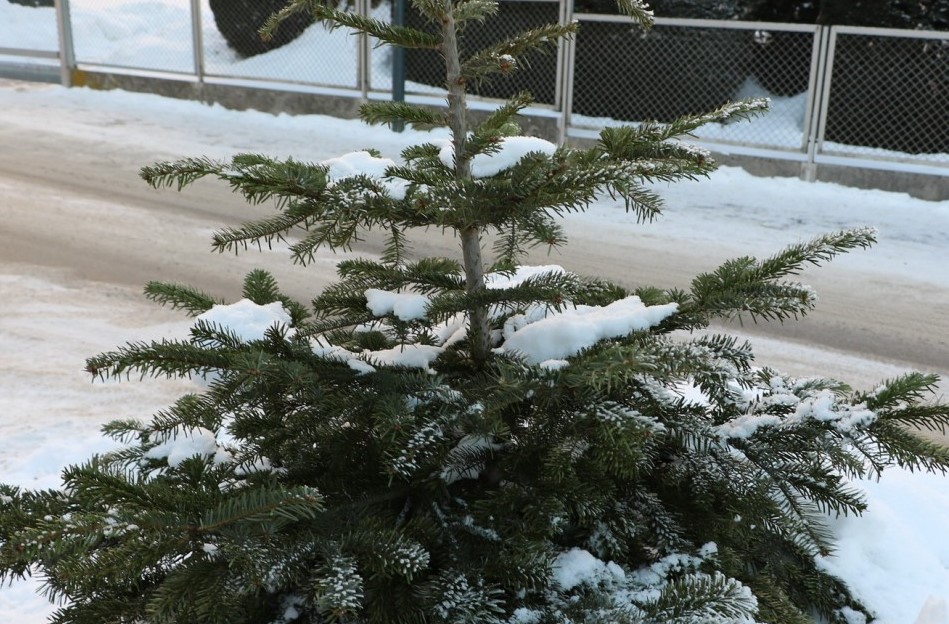 Hauptbild zur Nachricht