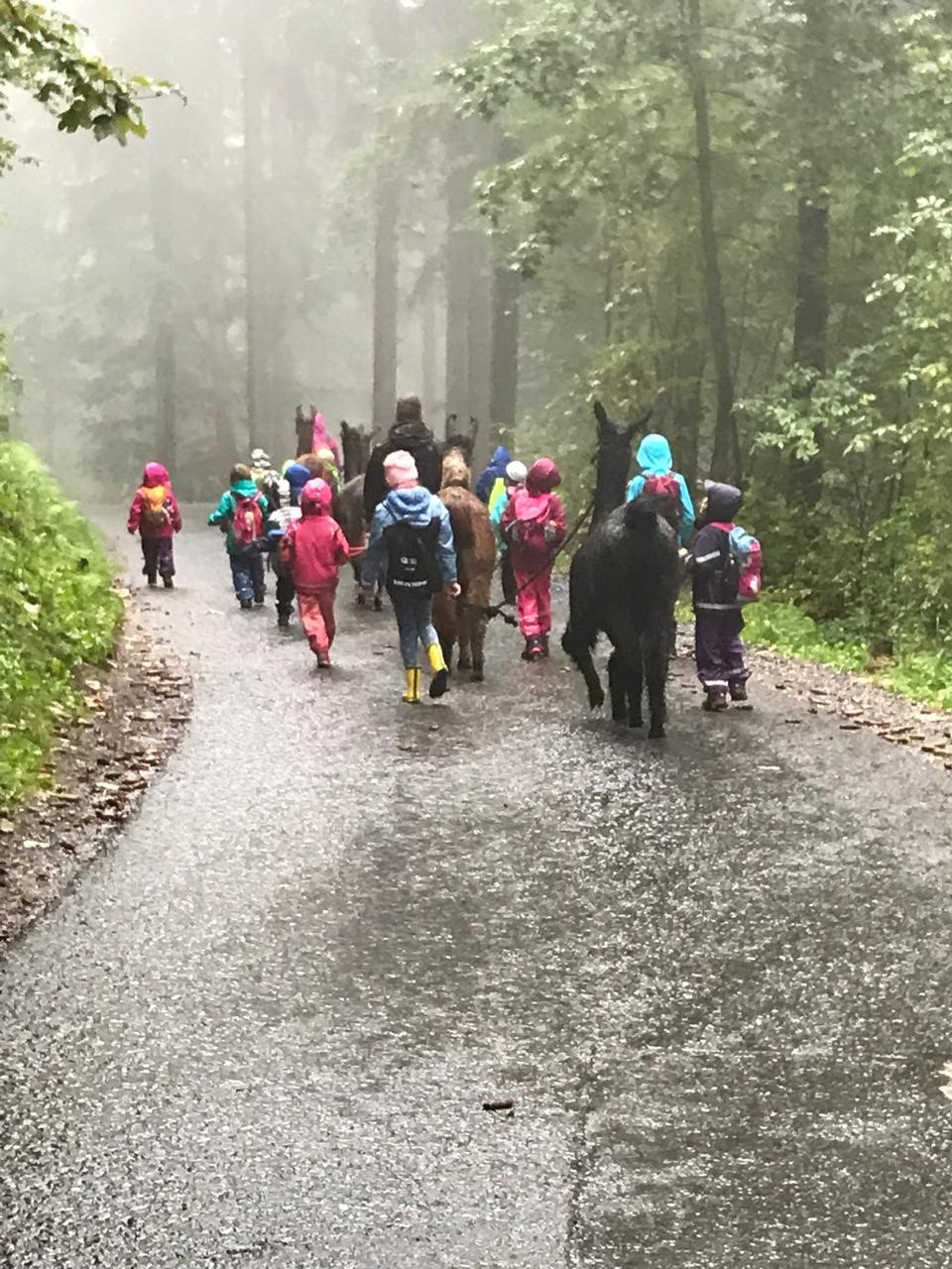 Hauptbild zur Nachricht