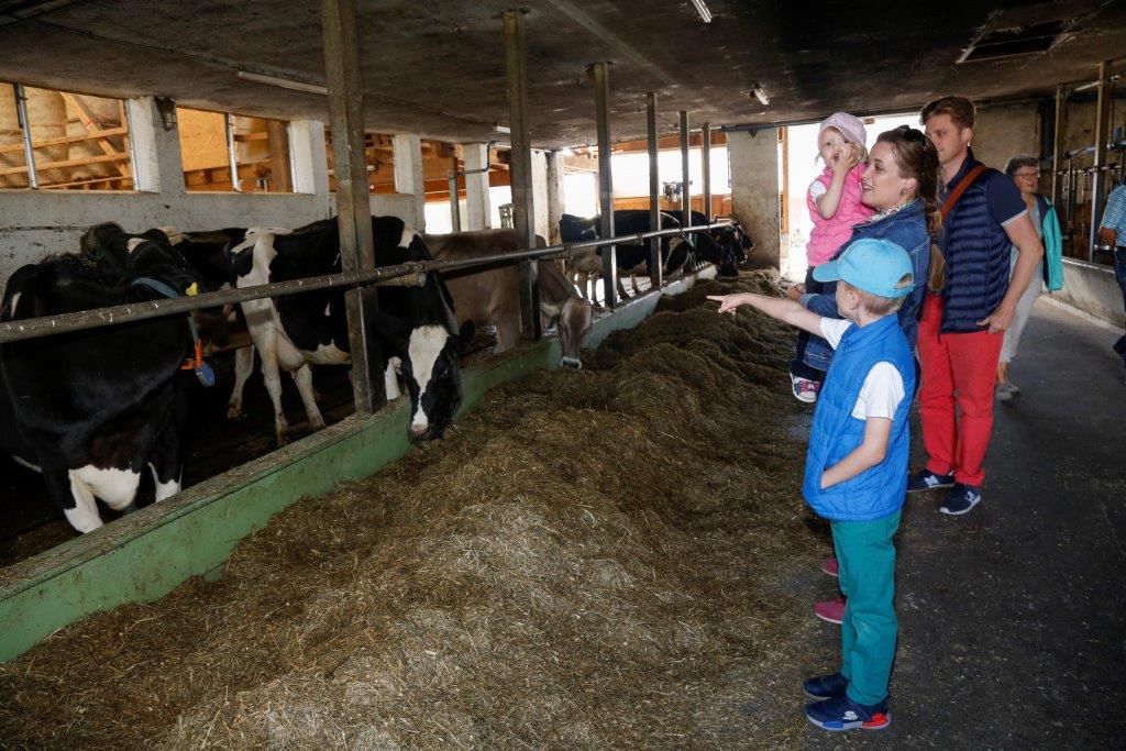 Informativer und beeindruckender "Tag der offenen Stalltür" beim Landwirtschaftsbetrieb Kaiser in Mauren. 