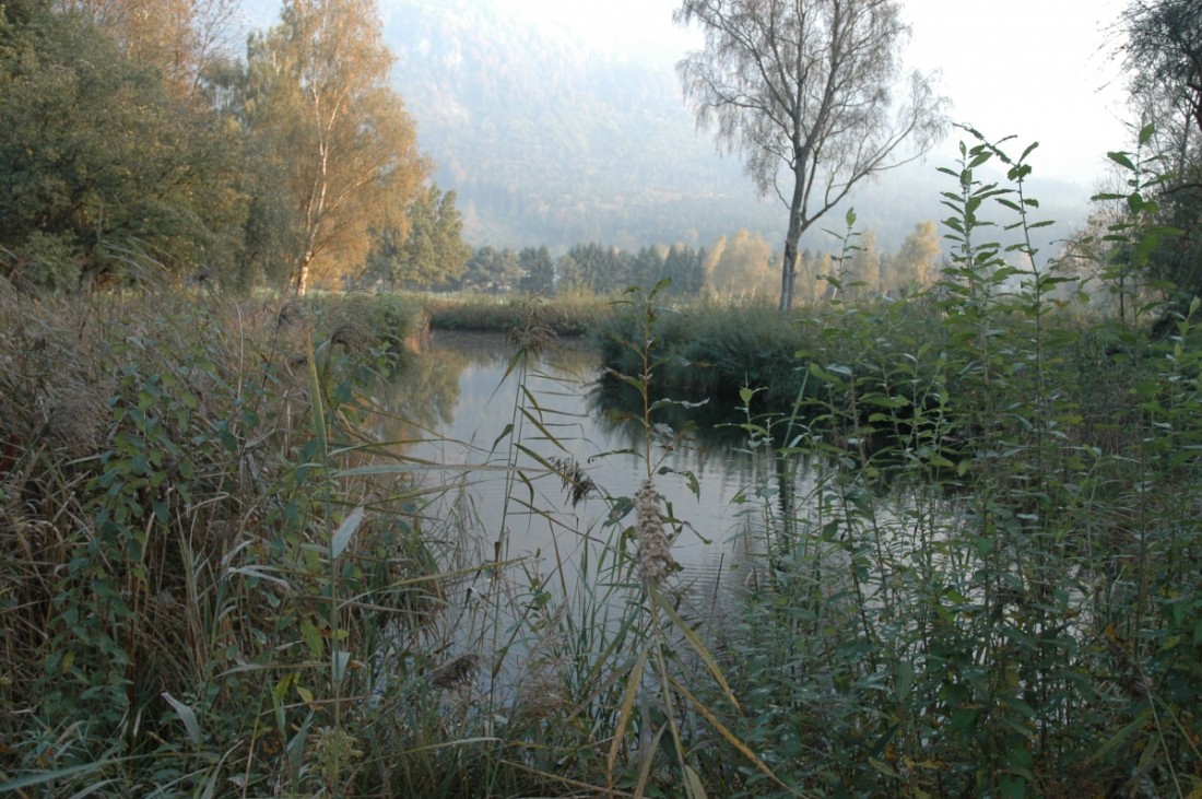 Beim informativen Rundgang von Biotop zu Biotop im Maurer Riet werden zugleich herumliegende Abfälle eingesammelt. 