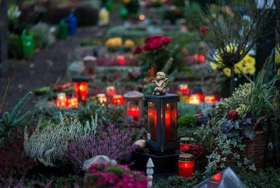 Bild zu Veranstaltung