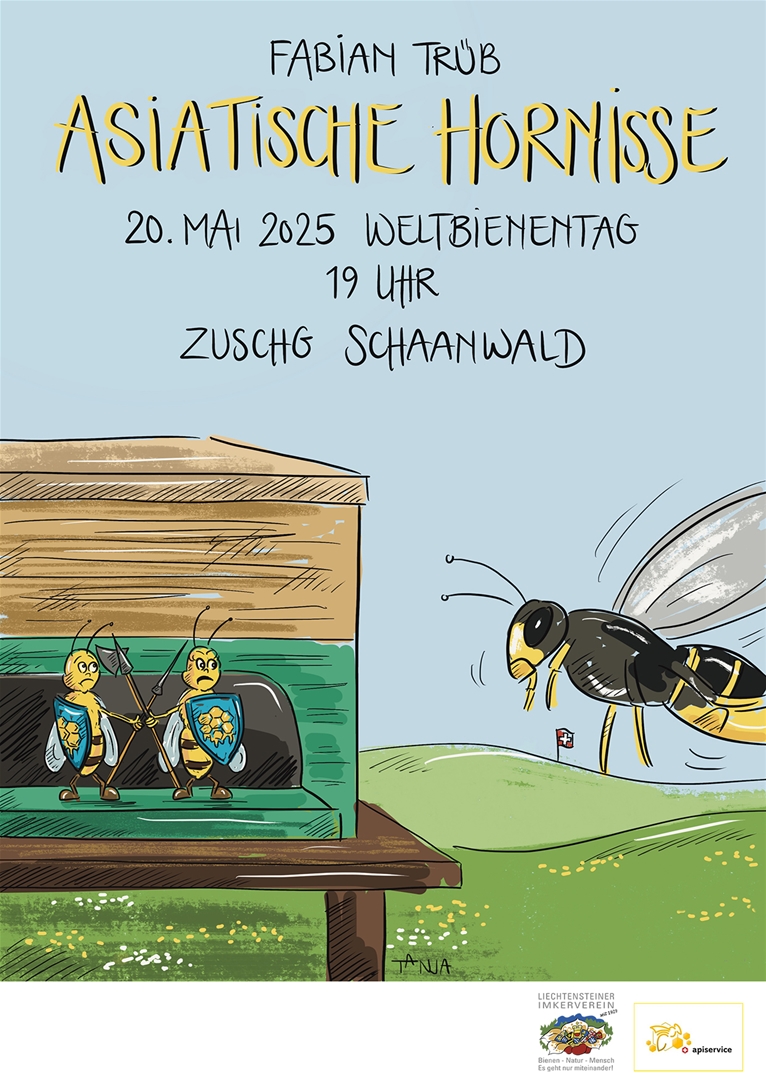 Bild zu Veranstaltung
