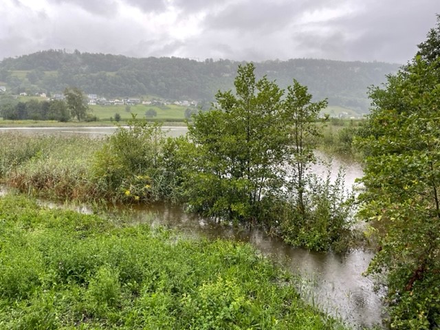 Egelsee-mit-Hochwasser.jpg