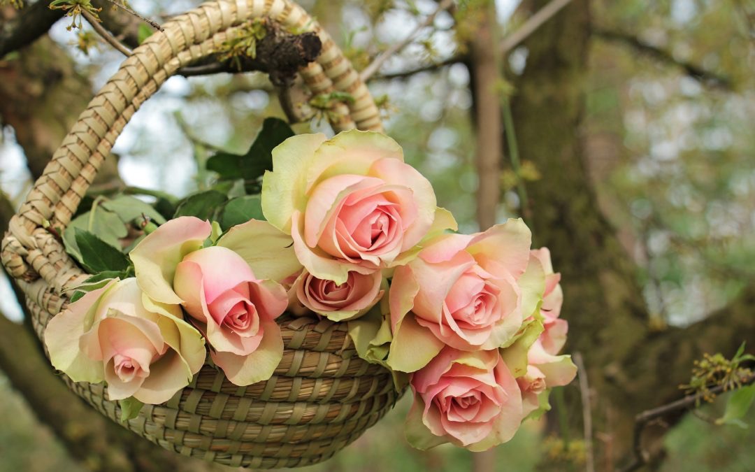 Muttertag-Blumen.jpg