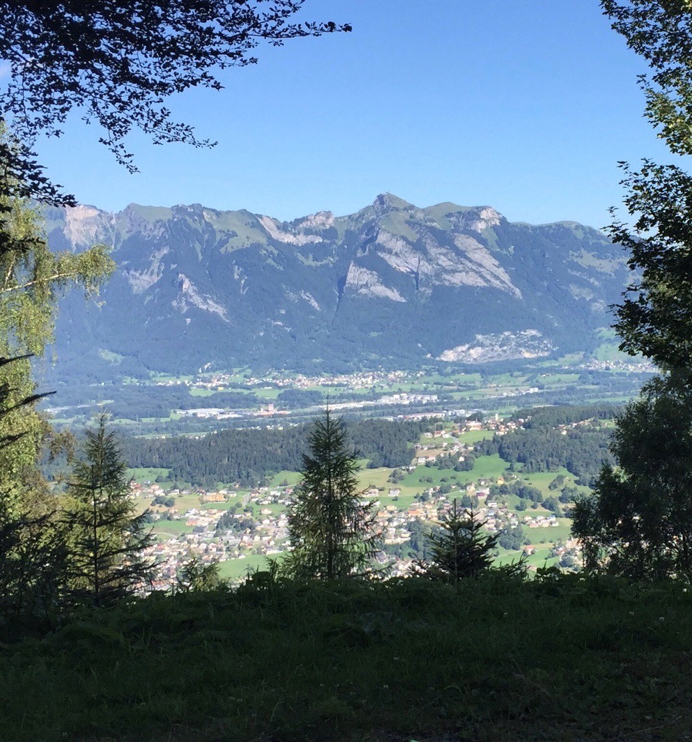 Bild zu Veranstaltung